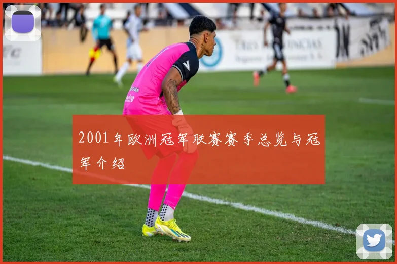 2001年欧洲冠军联赛赛季总览与冠军介绍